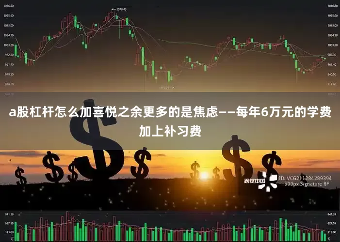a股杠杆怎么加喜悦之余更多的是焦虑——每年6万元的学费加上补习费